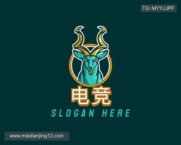 解读买电竞